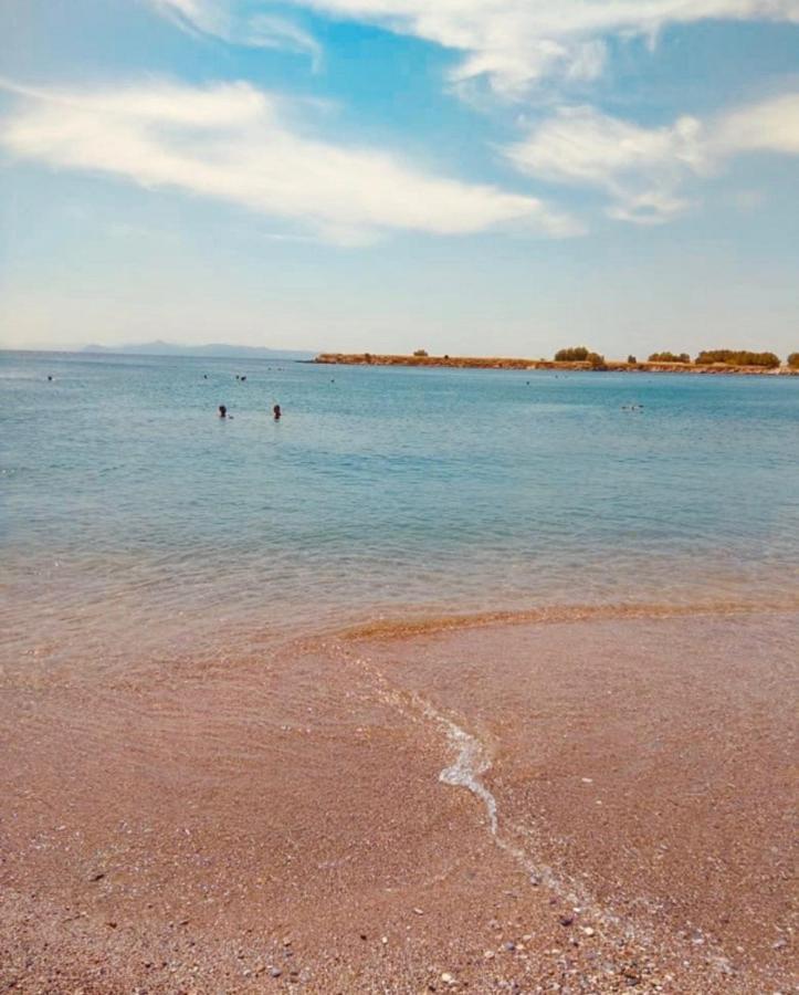 Modern Apt In Glyfada A Breath Away From The Sea - The View Ateny Zewnętrze zdjęcie